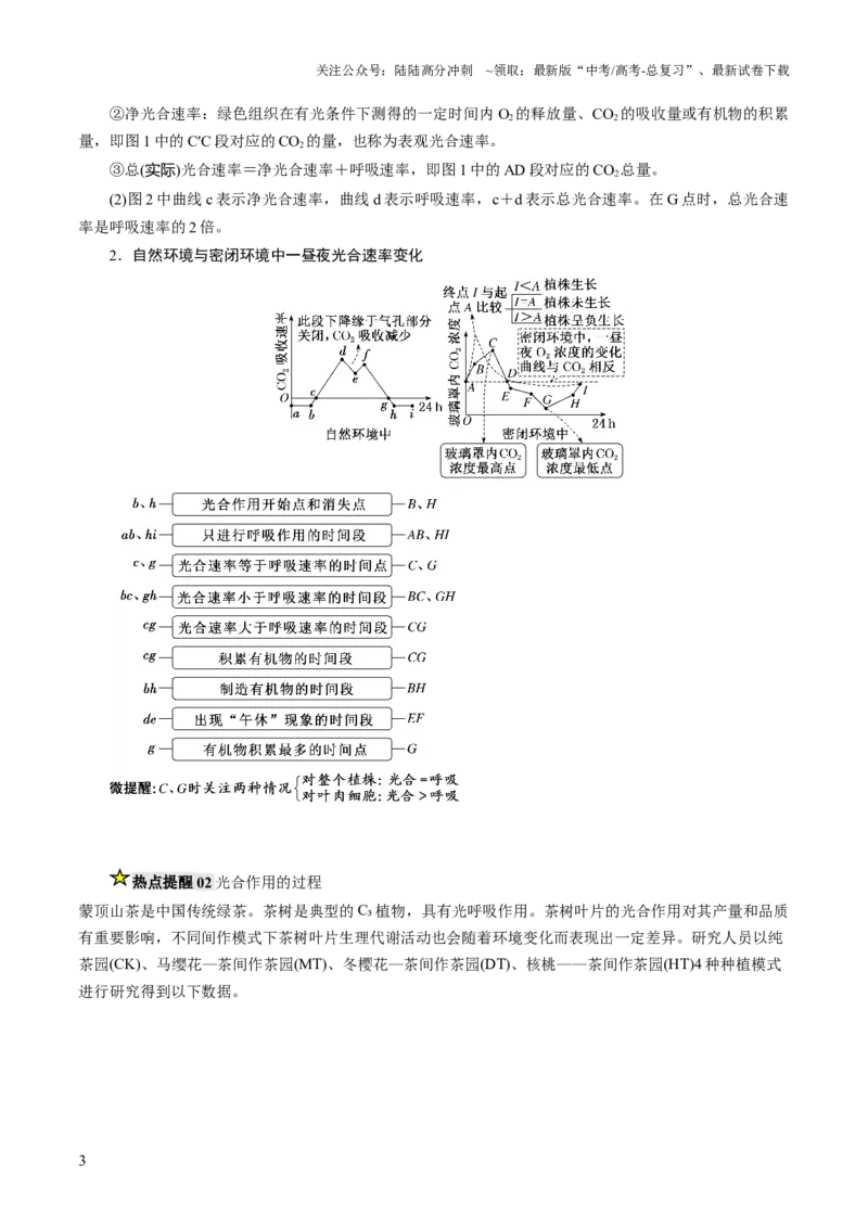 《压轴题01光合作用和细胞呼吸（解析版）_06-生物-高考总复习_三轮冲刺_压轴题2025年高考生物压轴题攻略》第3页预览