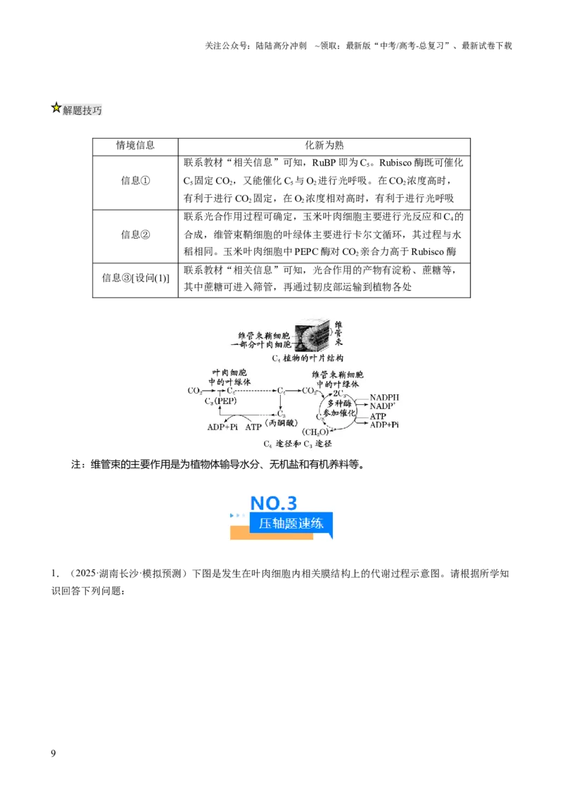 《压轴题01光合作用和细胞呼吸（解析版）_06-生物-高考总复习_三轮冲刺_压轴题2025年高考生物压轴题攻略》第9页预览
