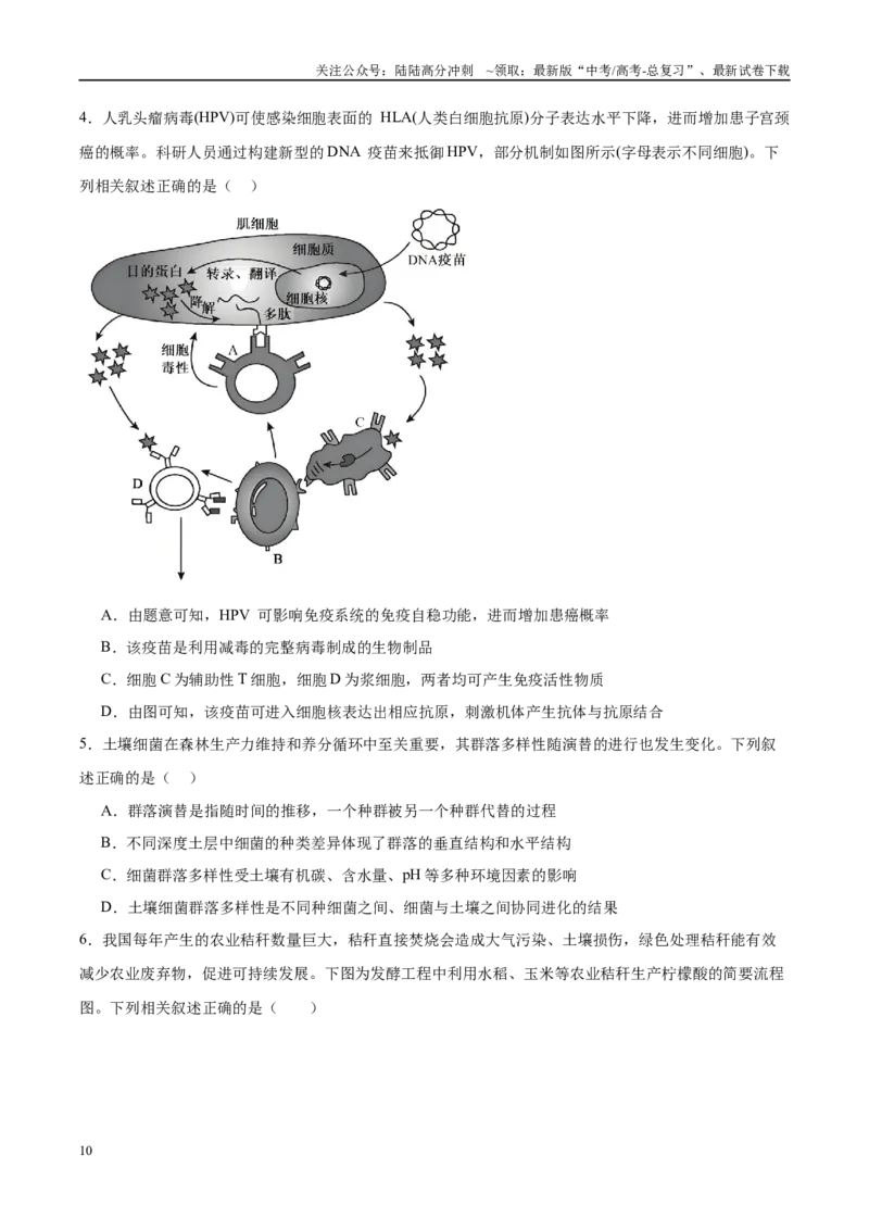 《信息必刷卷02（新课标卷，新疆、西藏专用）学生版_06-生物-高考总复习_专项复习_2025年_2025年高考考前必刷题（多地区）生物_2025年高考生物考前必刷卷（新课标卷，新疆、西藏专用）2套》第4页预览