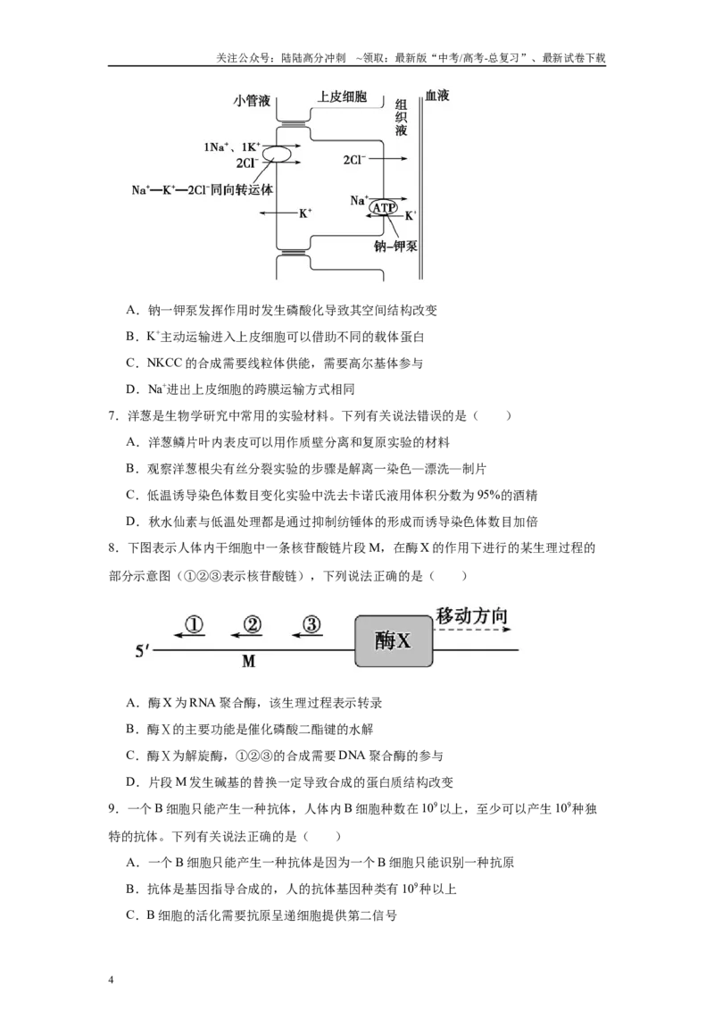《信息必刷卷04（山东专用）学生版_06-生物-高考总复习_专项复习_2025年_2025年高考考前必刷题（多地区）生物_2025年高考生物考前必刷卷（山东专用）3套》第4页预览
