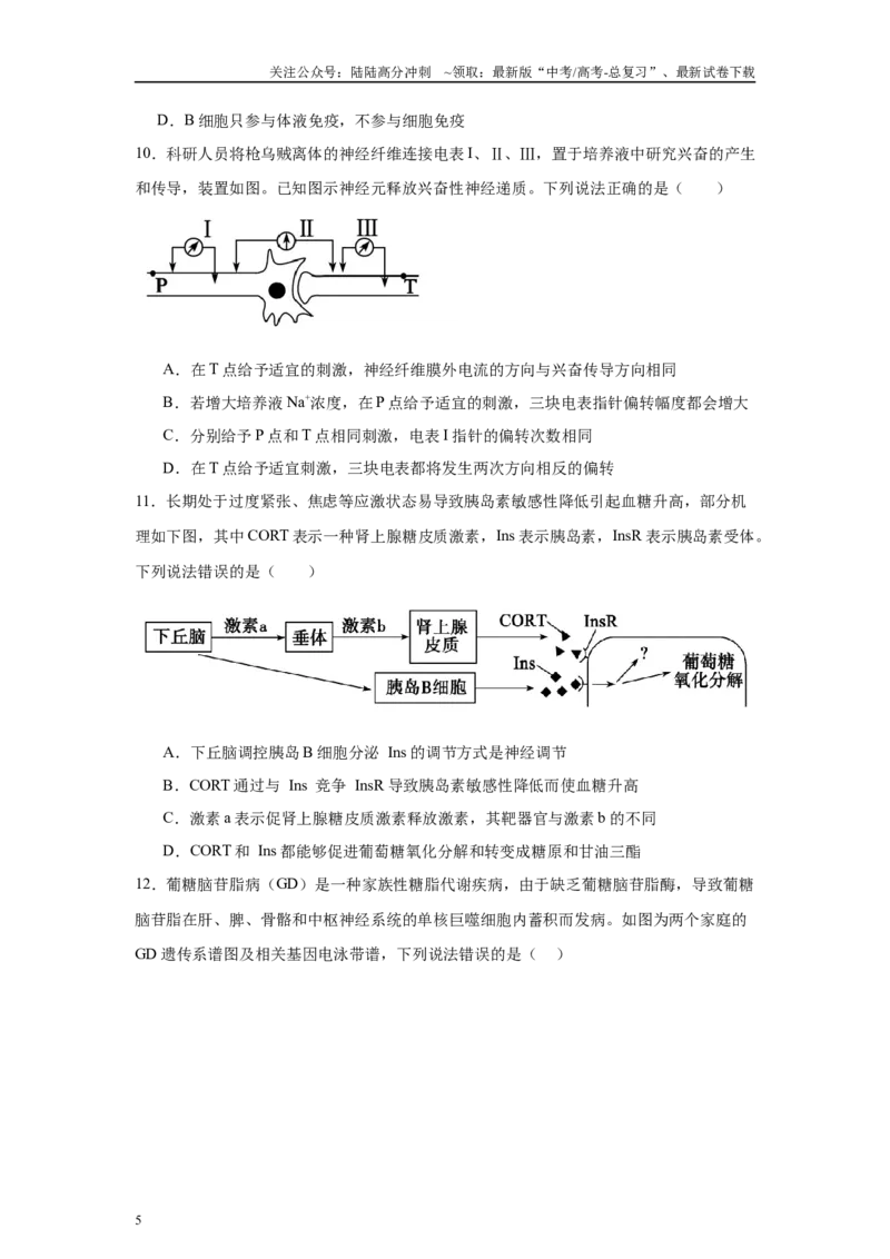 《信息必刷卷04（山东专用）学生版_06-生物-高考总复习_专项复习_2025年_2025年高考考前必刷题（多地区）生物_2025年高考生物考前必刷卷（山东专用）3套》第5页预览