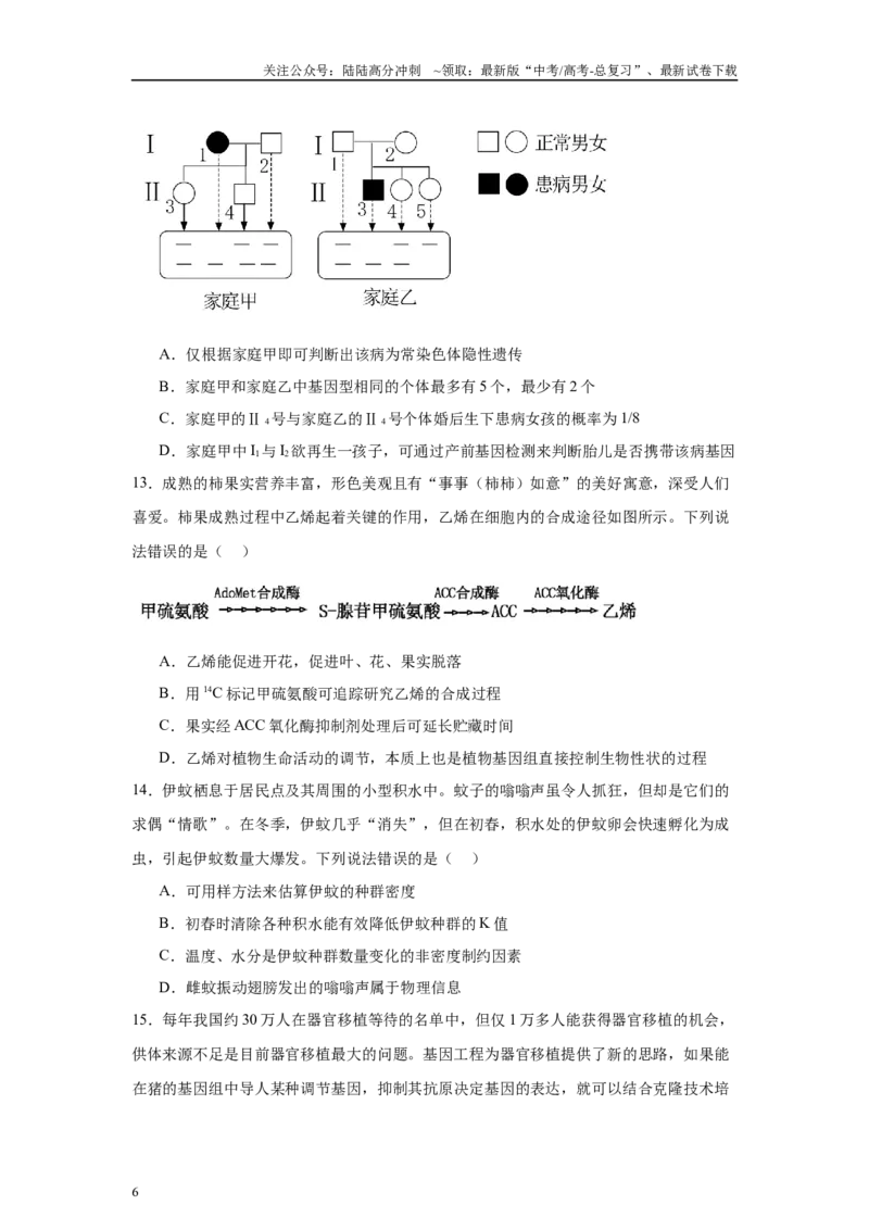 《信息必刷卷04（山东专用）学生版_06-生物-高考总复习_专项复习_2025年_2025年高考考前必刷题（多地区）生物_2025年高考生物考前必刷卷（山东专用）3套》第6页预览
