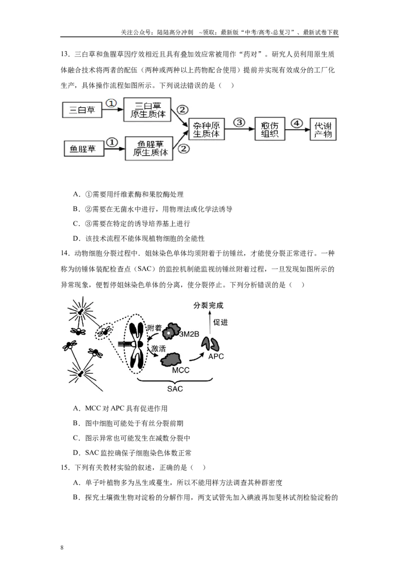 《信息必刷卷05（山东专用）学生版_06-生物-高考总复习_专项复习_2025年_2025年高考考前必刷题（多地区）生物_2025年高考生物考前必刷卷（山东专用）3套》第8页预览