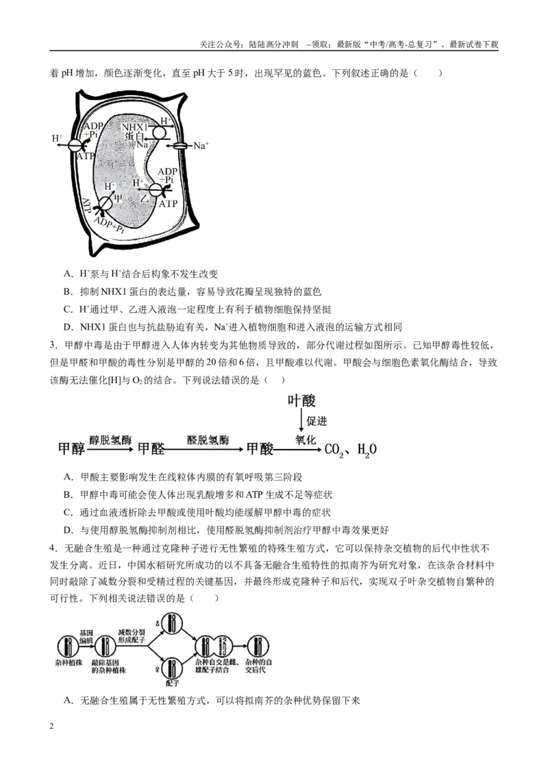 《信息必刷卷04（新高考通用）学生版_06-生物-高考总复习_专项复习_2025年_2025年高考考前必刷题（多地区）生物_2025年高考生物考前必刷卷（新高考通用）5套》第2页预览