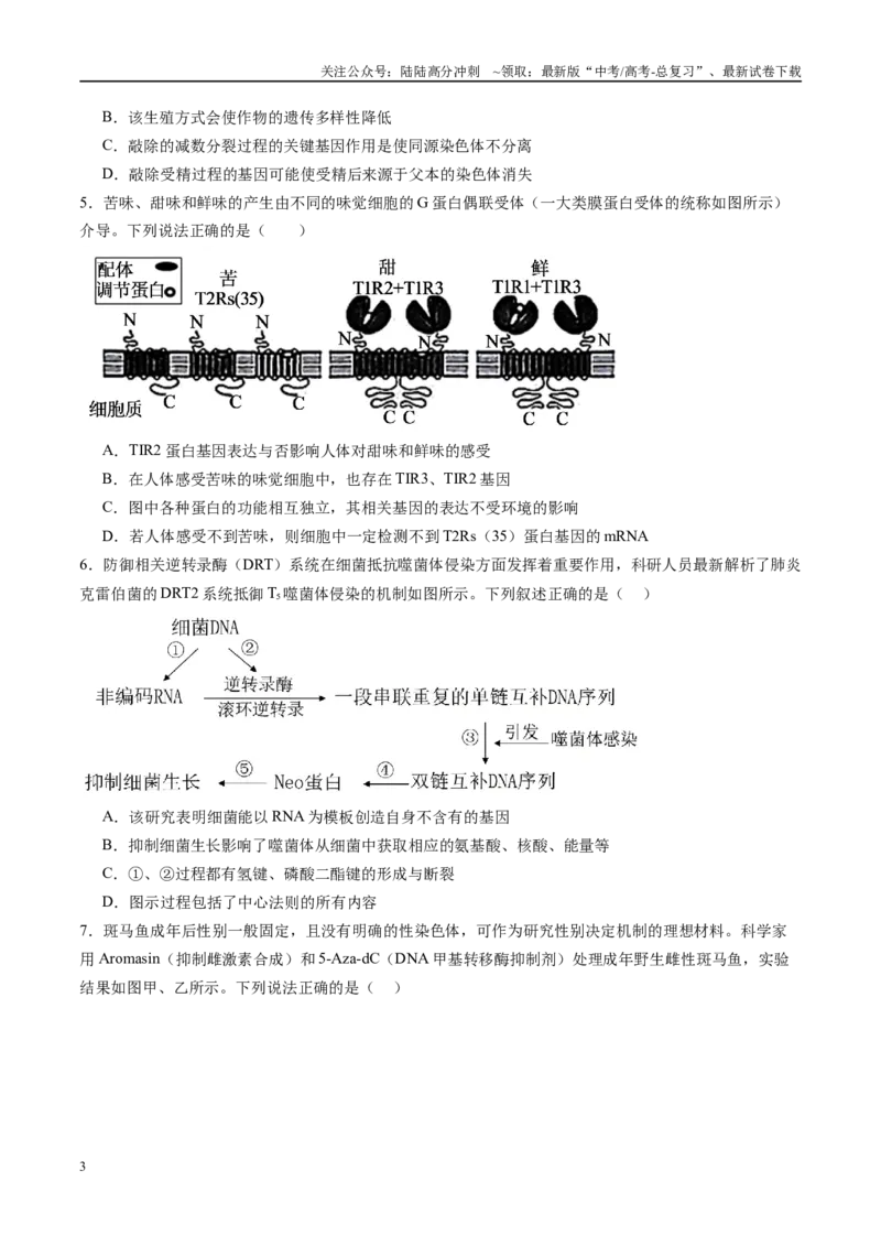 《信息必刷卷04（新高考通用）学生版_06-生物-高考总复习_专项复习_2025年_2025年高考考前必刷题（多地区）生物_2025年高考生物考前必刷卷（新高考通用）5套》第3页预览