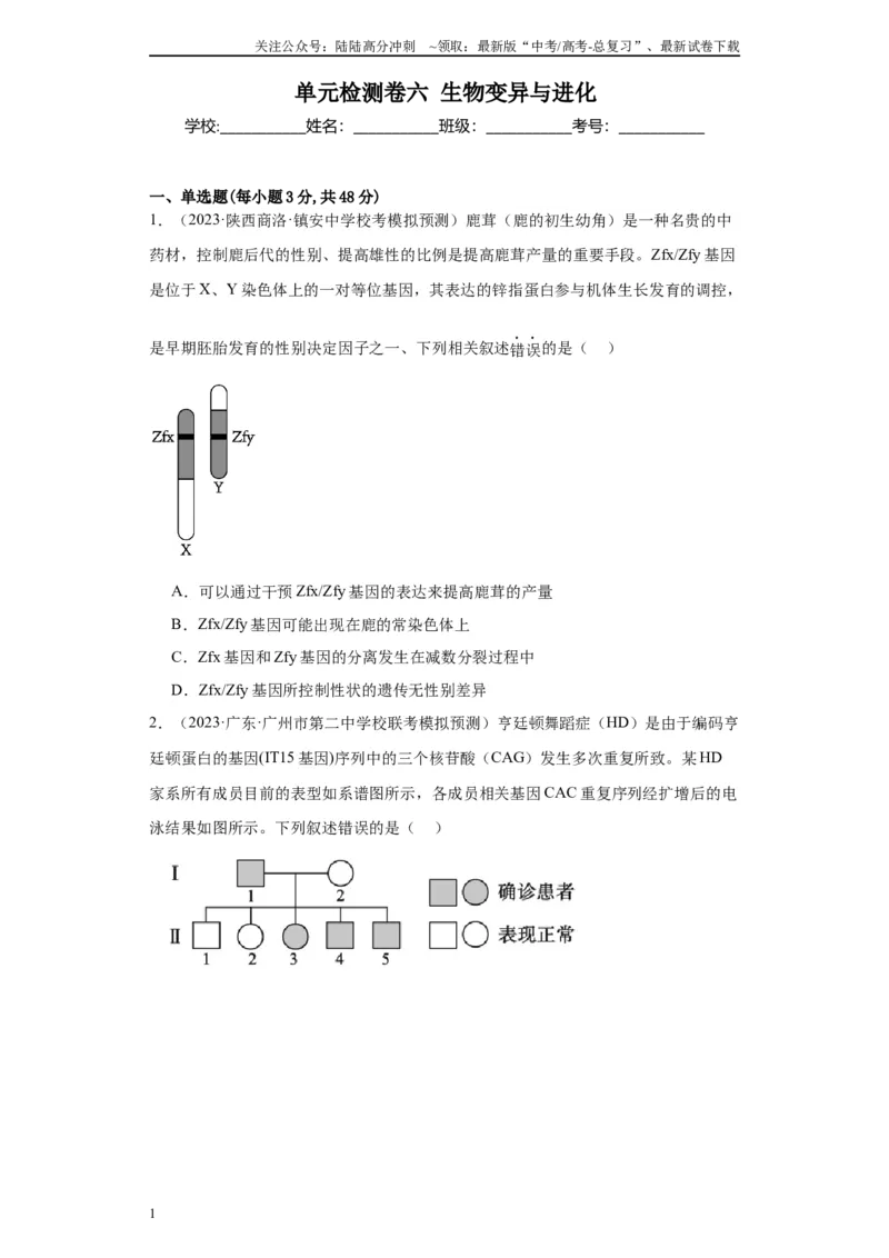 《单元检测卷六生物变异与进化(解析版)_06-生物-高考总复习_一轮复习_2024年_2024年高考生物一轮复习精讲精练_资料》第1页预览