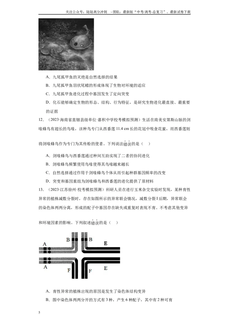 《单元检测卷六生物变异与进化(解析版)_06-生物-高考总复习_一轮复习_2024年_2024年高考生物一轮复习精讲精练_资料》第5页预览