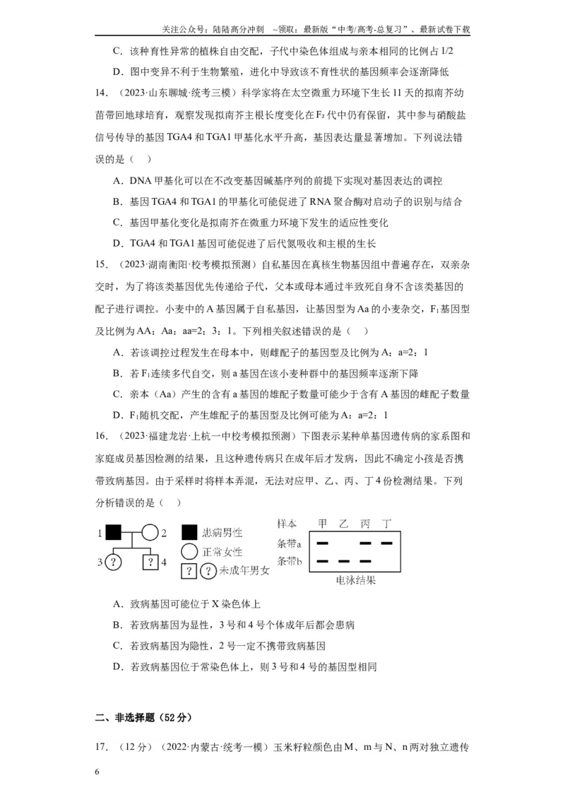 《单元检测卷六生物变异与进化(解析版)_06-生物-高考总复习_一轮复习_2024年_2024年高考生物一轮复习精讲精练_资料》第6页预览