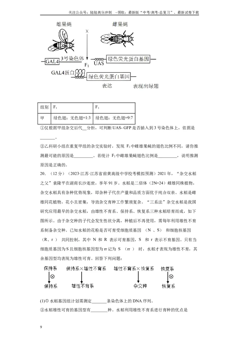 《单元检测卷六生物变异与进化(解析版)_06-生物-高考总复习_一轮复习_2024年_2024年高考生物一轮复习精讲精练_资料》第9页预览