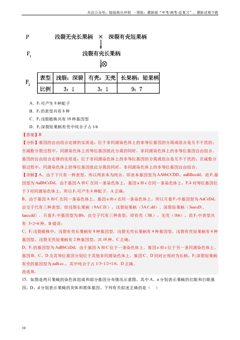 《单元检测卷05基因的传递规律（教师版）_06-生物-高考总复习_一轮复习_2025年_2025年高考生物一轮复习考点复习卷（新高考通用）》第10页预览