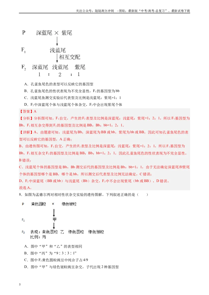 《单元检测卷05基因的传递规律（教师版）_06-生物-高考总复习_一轮复习_2025年_2025年高考生物一轮复习考点复习卷（新高考通用）》第5页预览