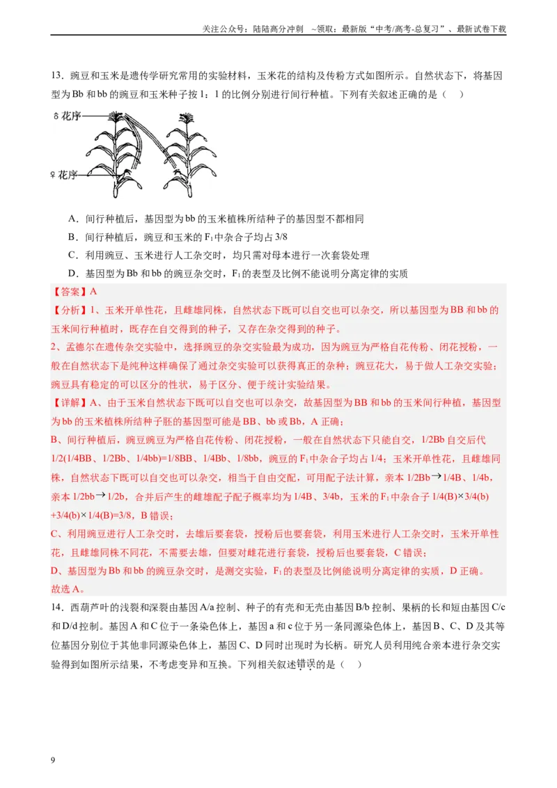 《单元检测卷05基因的传递规律（教师版）_06-生物-高考总复习_一轮复习_2025年_2025年高考生物一轮复习考点复习卷（新高考通用）》第9页预览