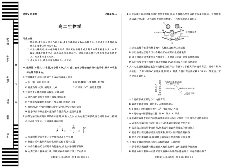《2025-2026学年高二上学期12月联考生物A_2026年高二《月考+期中考+阶段性检测真题合集》全国各省全科无水印_安徽省部分学校（合肥六中）2025-2026学年高二上学期12月联考（全）》第1页预览