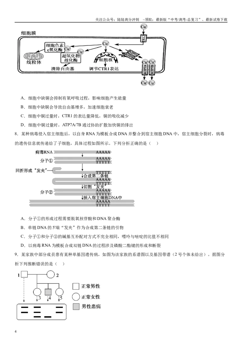 《信息必刷卷02（新高考通用，15+5）学生版_06-生物-高考总复习_专项复习_2025年_2025年高考考前必刷题（多地区）生物_2025年高考生物考前必刷卷（新高考通用）5套》第4页预览