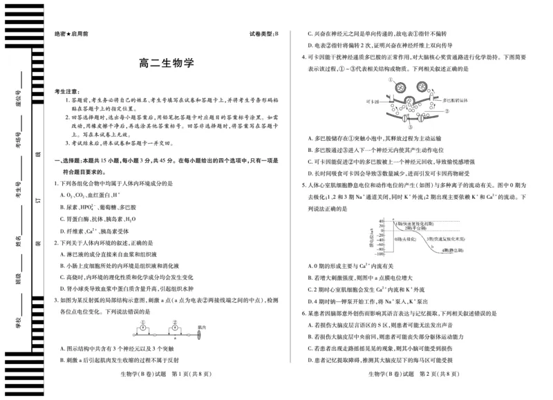 《2025-2026学年高二上学期12月联考生物B_2026年高二《月考+期中考+阶段性检测真题合集》全国各省全科无水印_安徽省部分学校（合肥六中）2025-2026学年高二上学期12月联考（全）》第1页预览