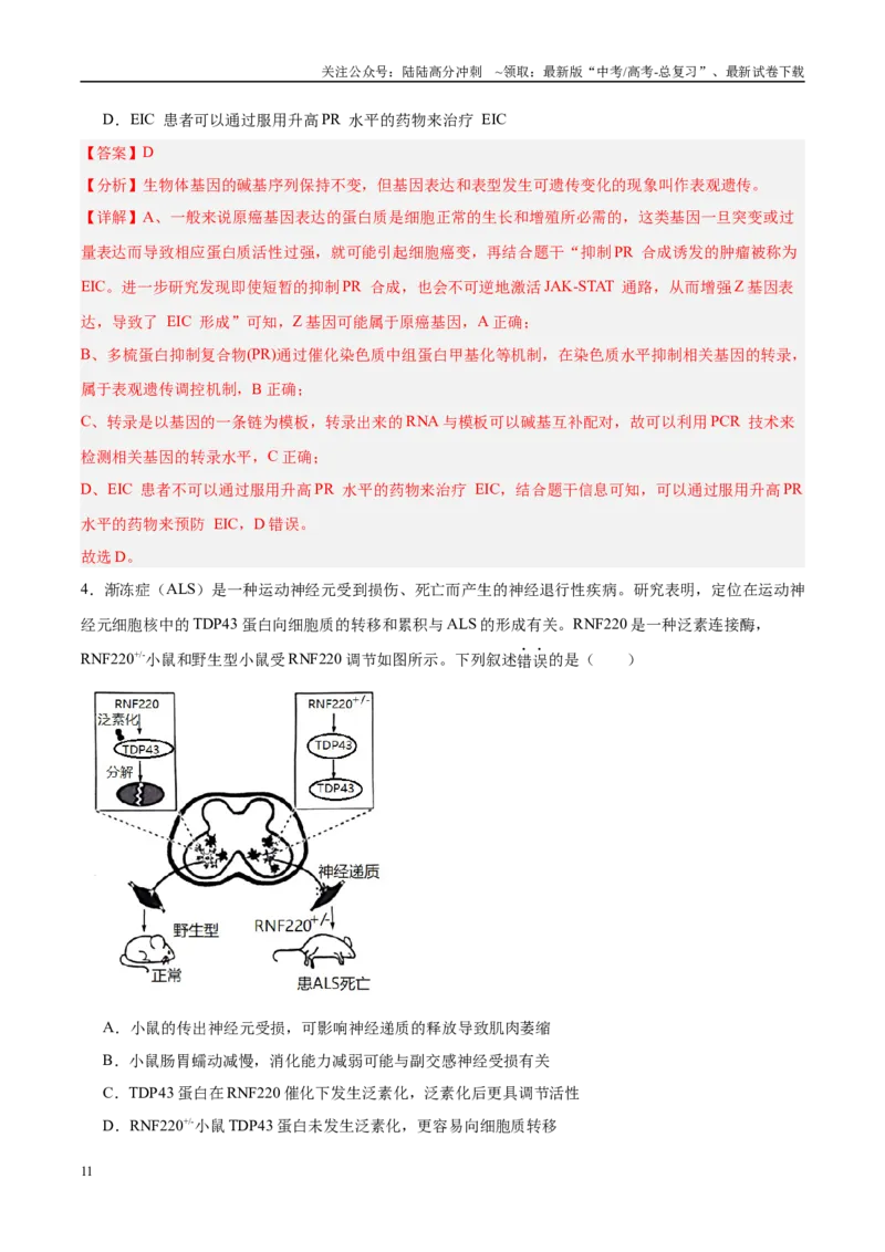 《信息必刷卷01（新课标卷，新疆、西藏专用）教师版_06-生物-高考总复习_专项复习_2025年_2025年高考考前必刷题（多地区）生物_2025年高考生物考前必刷卷（新课标卷，新疆、西藏专用）2套》第5页预览