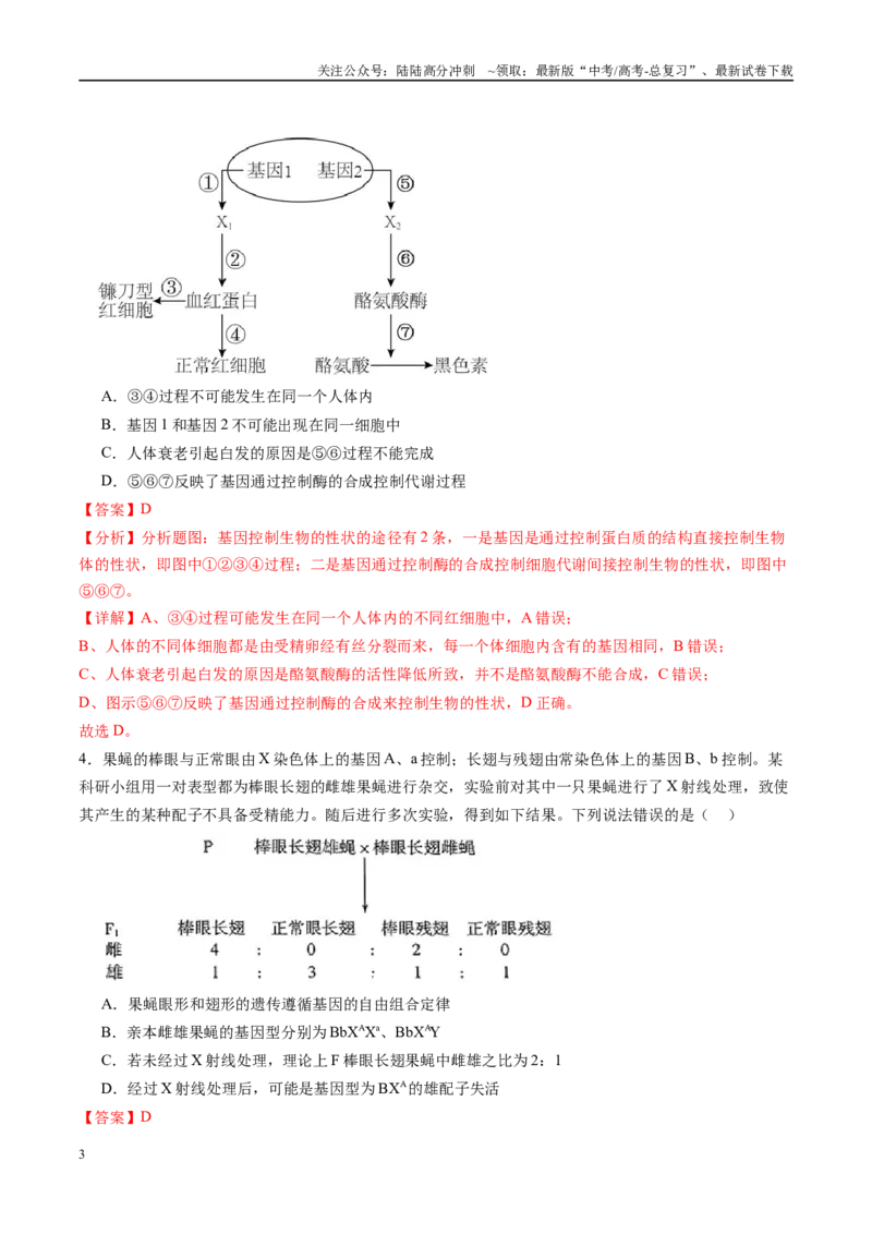《信息必刷卷03（山东专用）教师版_06-生物-高考总复习_专项复习_2025年_2025年高考考前必刷题（多地区）生物_2025年高考生物考前必刷卷（山东专用）3套》第3页预览