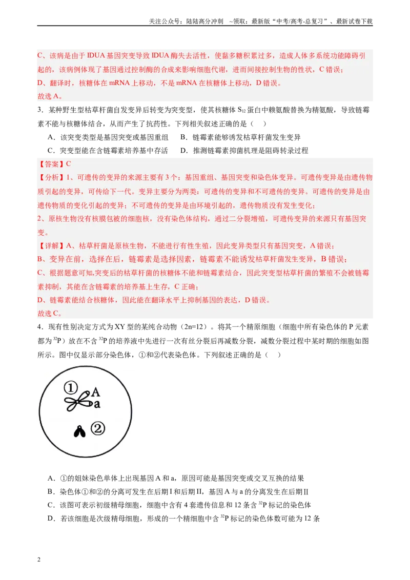 《单元检测卷07变异与进化（教师版）_06-生物-高考总复习_一轮复习_2025年_2025年高考生物一轮复习考点复习卷（新高考通用）》第2页预览