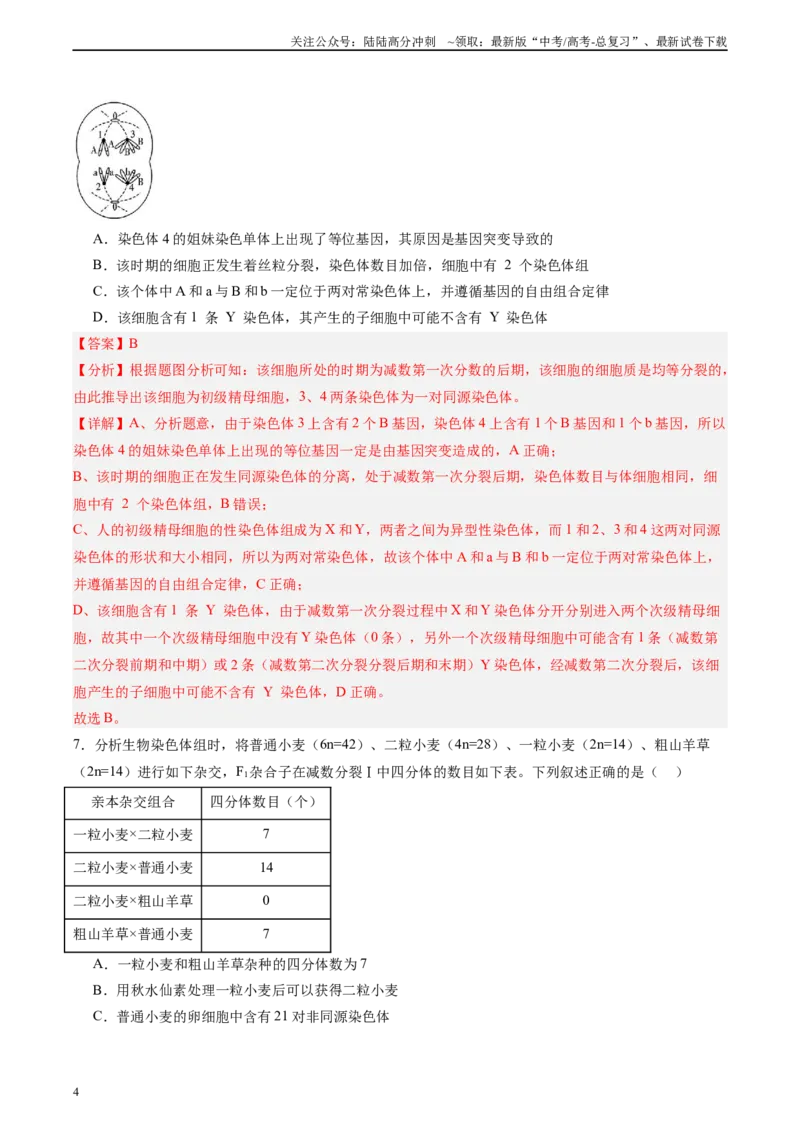 《单元检测卷07变异与进化（教师版）_06-生物-高考总复习_一轮复习_2025年_2025年高考生物一轮复习考点复习卷（新高考通用）》第4页预览