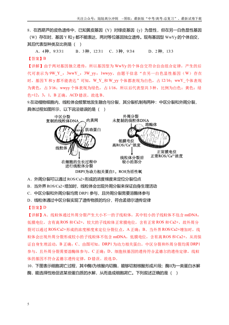 《信息必刷卷02（福建专用）教师版_06-生物-高考总复习_专项复习_2025年_2025年高考考前必刷题（多地区）生物_2025年高考生物考前必刷卷（福建专用）1套》第5页预览
