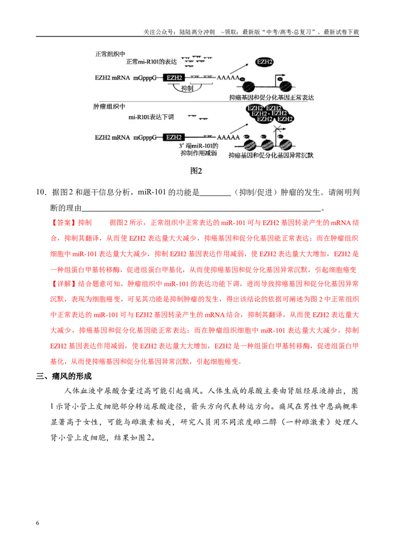 《信息必刷卷02（上海专用）（教师版）_06-生物-高考总复习_专项复习_2025年_2025年高考考前必刷题（多地区）生物_2025年高考生物考前必刷卷（上海专用）5套》第6页预览