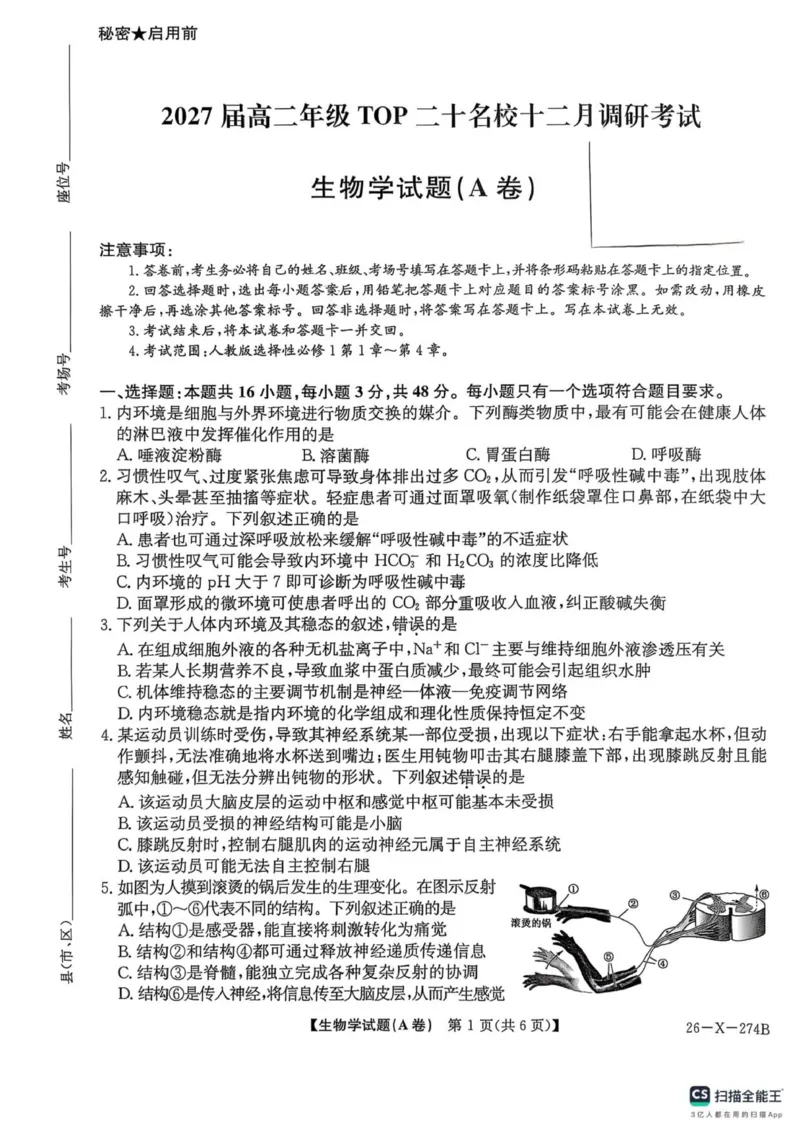 《2027届高二年级TOP二十名校十二月调研考试（生物）_20272025-2026学年高二上学期《联考+联盟类试卷合集》全国多省全科（57套）》第1页预览