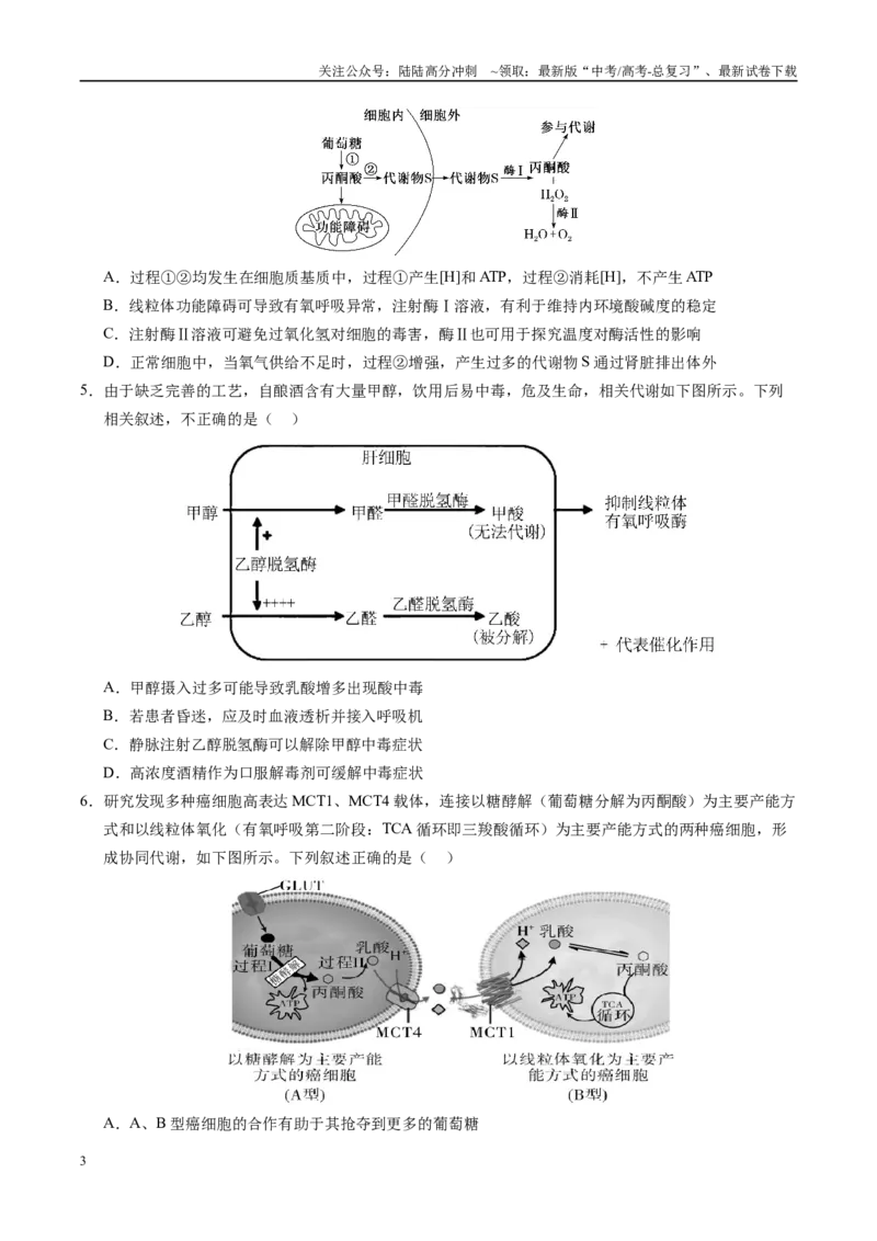 《信息必刷卷01（新高考通用）学生版_06-生物-高考总复习_专项复习_2025年_2025年高考考前必刷题（多地区）生物_2025年高考生物考前必刷卷（新高考通用）5套》第3页预览