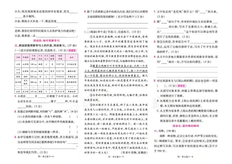 《26秋一遍过语文4年级上-试卷_2027版小学《一遍过+活页单元卷》456年级上册（语文）》第6页预览