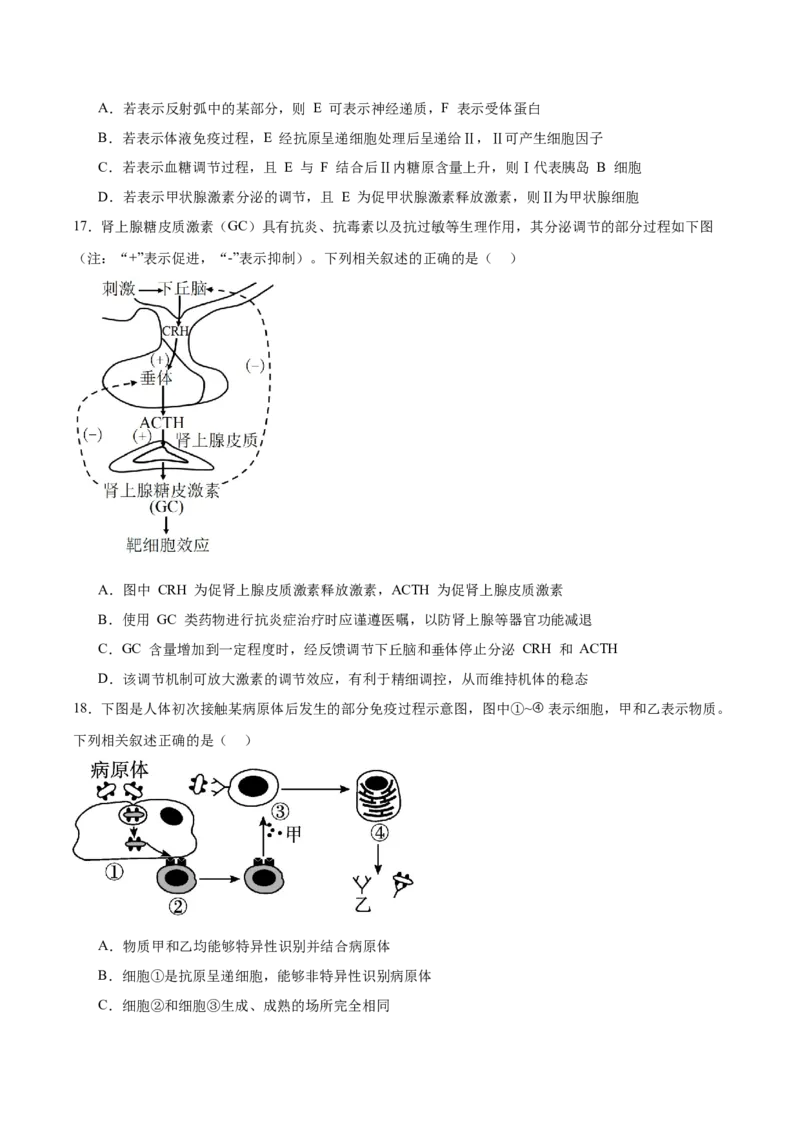 《江苏省徐州市2025-2026学年高二上学期期中考试生物Word版含答案_20272025-2026学年高二上学期《期中考试试卷合集》全国多省全科（78套）》第5页预览