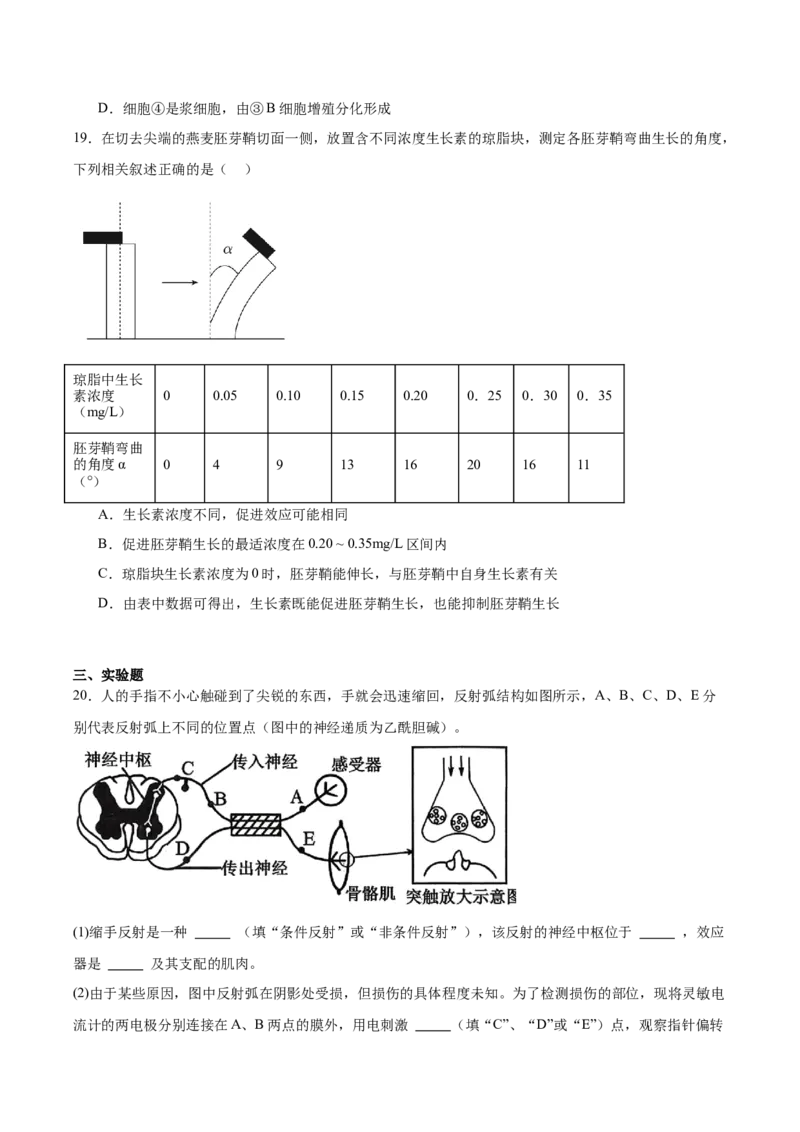 《江苏省徐州市2025-2026学年高二上学期期中考试生物Word版含答案_20272025-2026学年高二上学期《期中考试试卷合集》全国多省全科（78套）》第6页预览