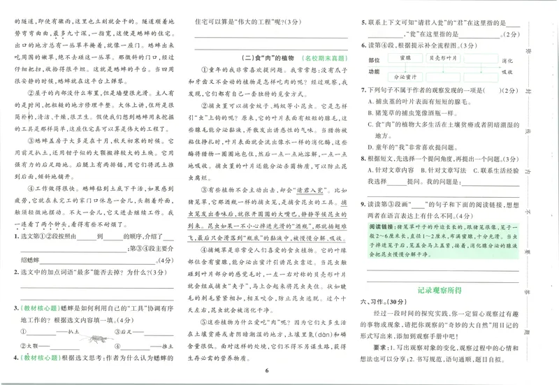 《试卷_2027版小学《pass学霸冲A卷》4年级上册（语数外）北师+人教_26秋4上语文《小学学霸冲A卷》》第9页预览
