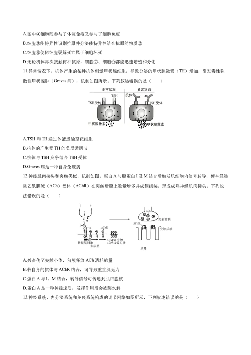 《四川省达州市第一中学校2025-2026学年高二上学期第二次月考生物试卷(含解析)_20272025-2026学年高二上学期《月考+阶段检测类试卷合集》全国多省全科（100套）》第4页预览