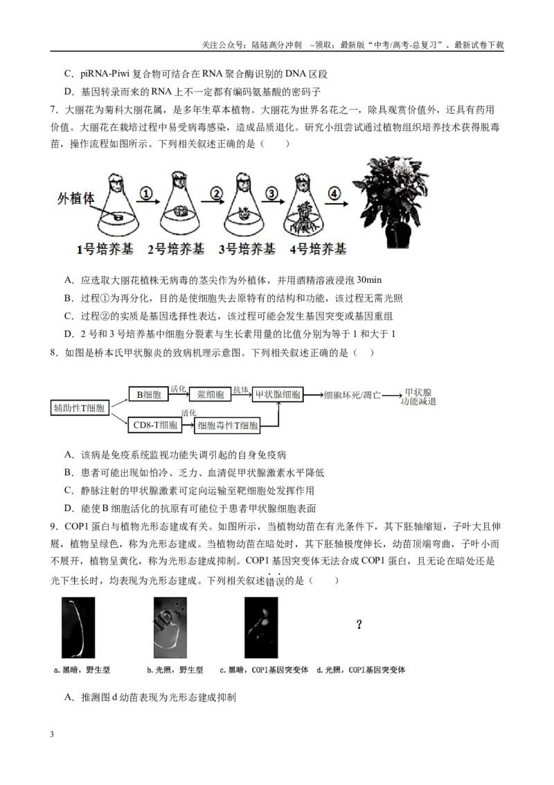 《信息必刷卷02（广东专用）（学生版）_06-生物-高考总复习_专项复习_2025年_2025年高考考前必刷题（多地区）生物_2025年高考生物考前必刷卷（广东专用）5套》第3页预览