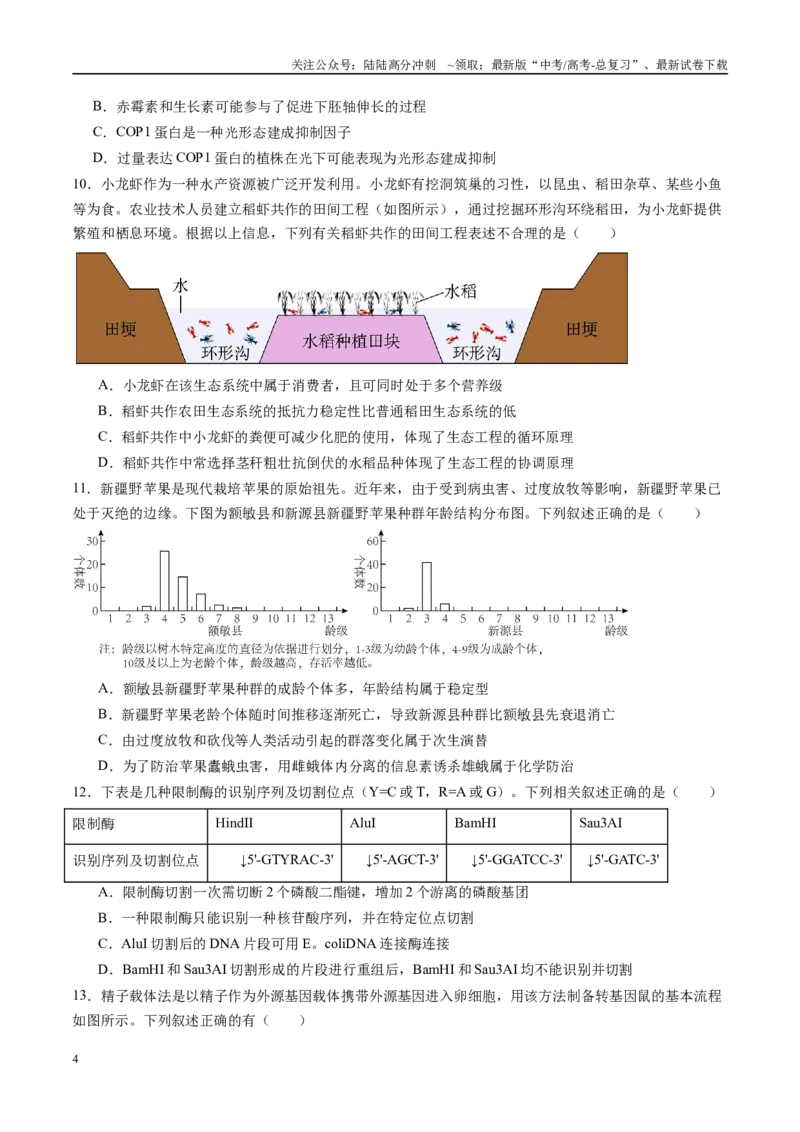 《信息必刷卷02（广东专用）（学生版）_06-生物-高考总复习_专项复习_2025年_2025年高考考前必刷题（多地区）生物_2025年高考生物考前必刷卷（广东专用）5套》第4页预览