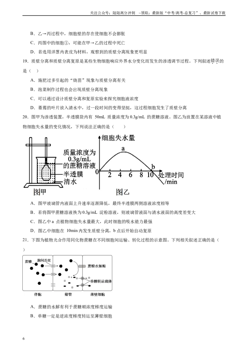 《单元检测卷02细胞的结构、功能和物质运输（学生版）_06-生物-高考总复习_一轮复习_2025年_2025年高考生物一轮复习考点复习卷（新高考通用）》第6页预览