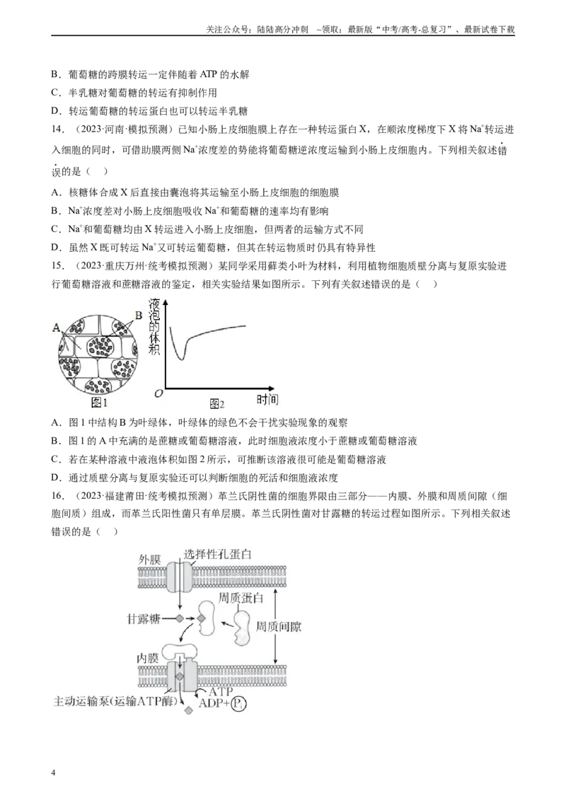 《单元检测卷一细胞结构组成及物质运输（解析版）_06-生物-高考总复习_一轮复习_2024年_2024年高考生物一轮复习精讲精练_资料》第4页预览