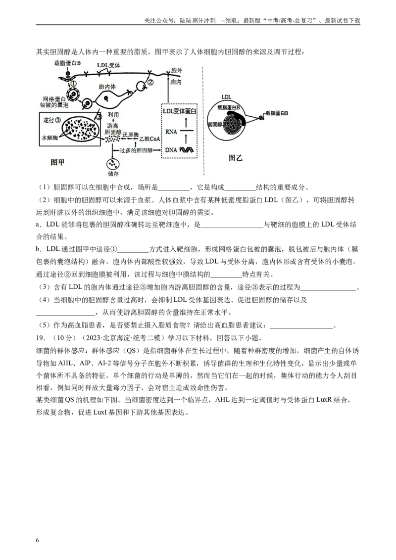《单元检测卷一细胞结构组成及物质运输（解析版）_06-生物-高考总复习_一轮复习_2024年_2024年高考生物一轮复习精讲精练_资料》第6页预览