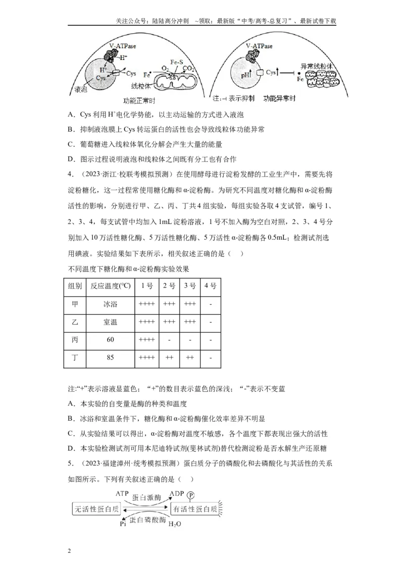 《单元检测卷二细胞代谢（原卷版）_06-生物-高考总复习_一轮复习_2024年_2024年高考生物一轮复习精讲精练_资料》第2页预览