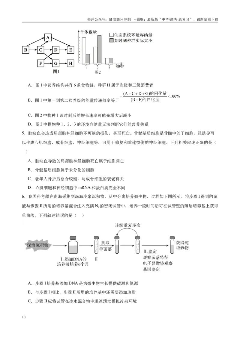 《信息必刷卷03（新课标卷，新疆、西藏专用）学生版_06-生物-高考总复习_专项复习_2025年_2025年高考考前必刷题（多地区）生物_2025年高考生物考前必刷卷（新课标卷，新疆、西藏专用）2套》第4页预览