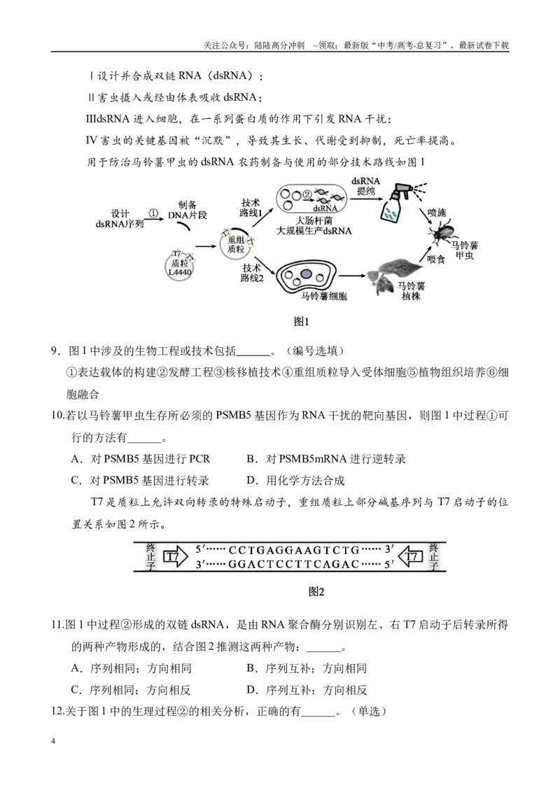 《信息必刷卷04（上海专用）学生版_06-生物-高考总复习_专项复习_2025年_2025年高考考前必刷题（多地区）生物_2025年高考生物考前必刷卷（上海专用）5套》第4页预览