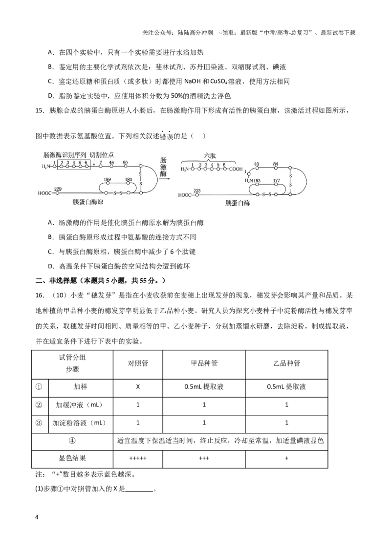 《单元检测卷01细胞的概述及其组成分子（原卷版）_06-生物-高考总复习_一轮复习_2024年_2024年高考生物一轮复习考点通关卷单元阶段考试卷_单元检测卷》第4页预览
