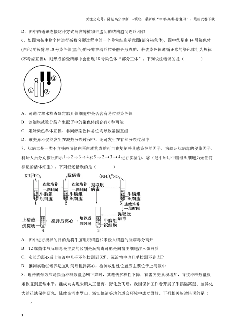 《仿真模拟预测卷02（新高考通用）（原卷版）_06-生物-高考总复习_三轮冲刺_大题精做冲刺2025年高考生物大题突破+限时集训（新高考通用）》第3页预览