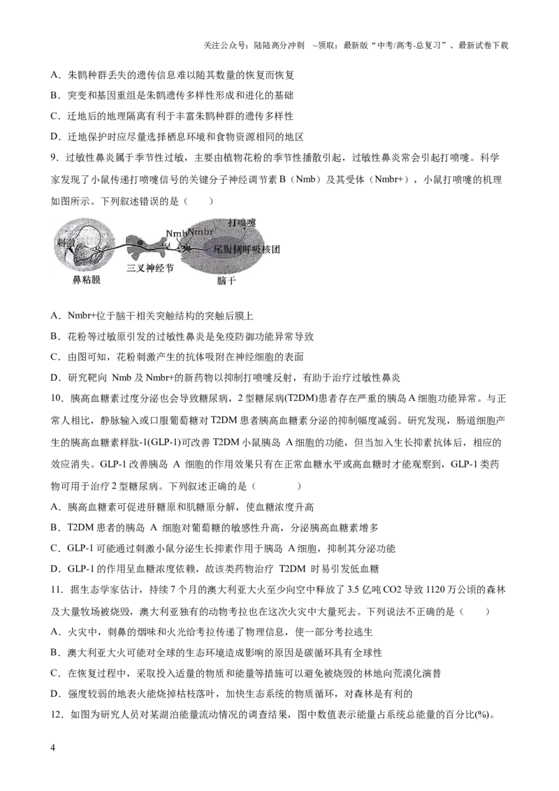 《仿真模拟预测卷02（新高考通用）（原卷版）_06-生物-高考总复习_三轮冲刺_大题精做冲刺2025年高考生物大题突破+限时集训（新高考通用）》第4页预览