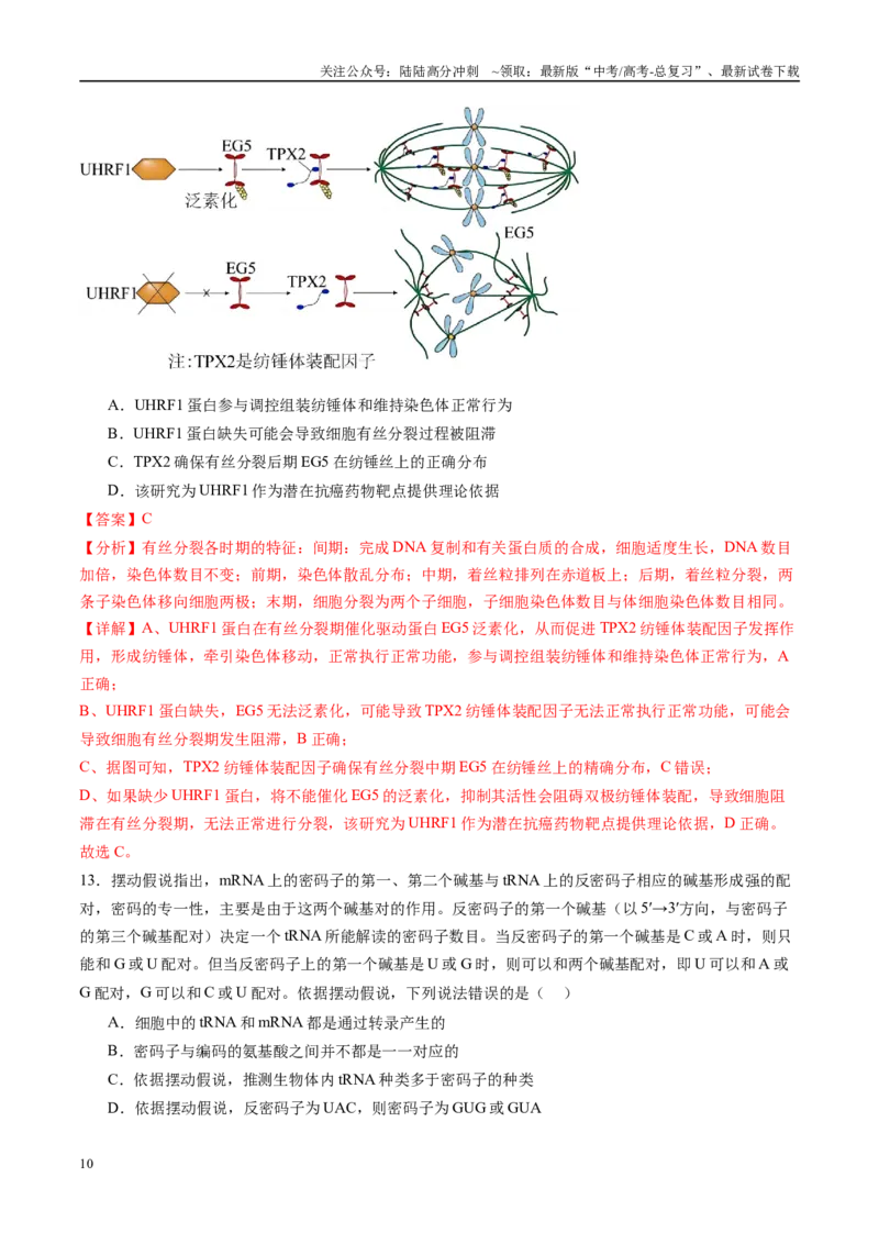 《信息必刷卷02（山东专用）教师版_06-生物-高考总复习_专项复习_2025年_2025年高考考前必刷题（多地区）生物_2025年高考生物考前必刷卷（山东专用）3套》第10页预览