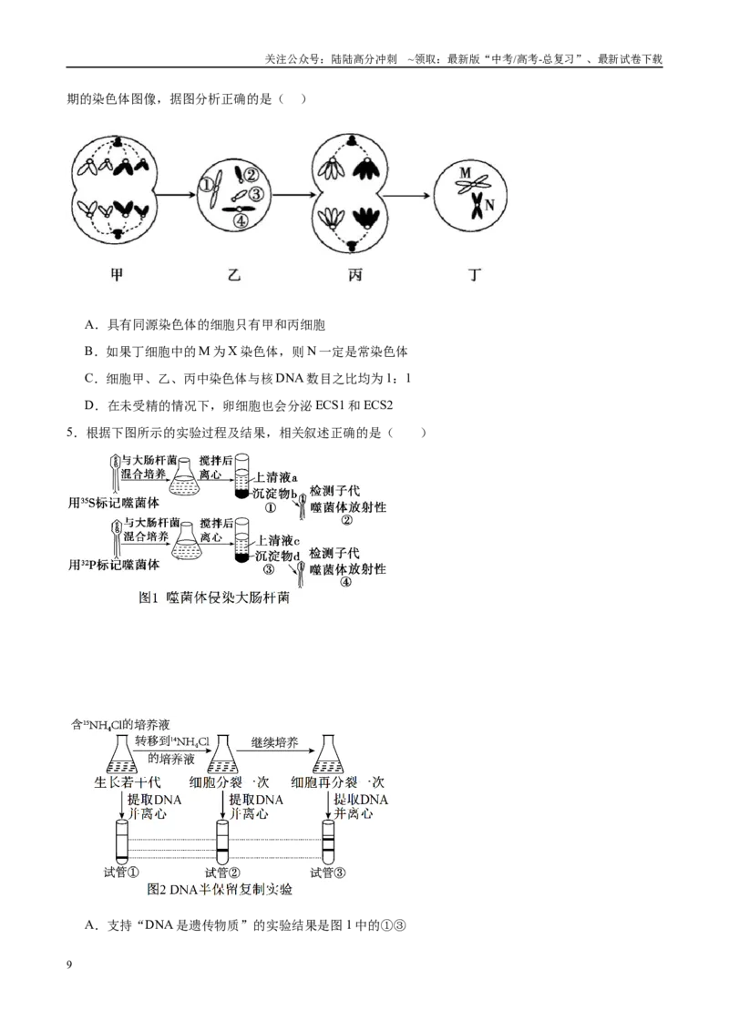 《信息必刷卷04（黑吉辽蒙专用）（学生版）_06-生物-高考总复习_专项复习_2025年_2025年高考考前必刷题（多地区）生物_2025年高考生物考前必刷卷（黑吉辽蒙专用）5套》第3页预览