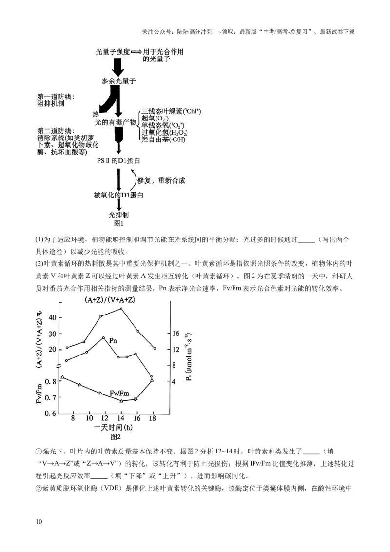 《压轴题01光合作用和细胞呼吸（原卷版）_06-生物-高考总复习_三轮冲刺_压轴题2025年高考生物压轴题攻略》第10页预览