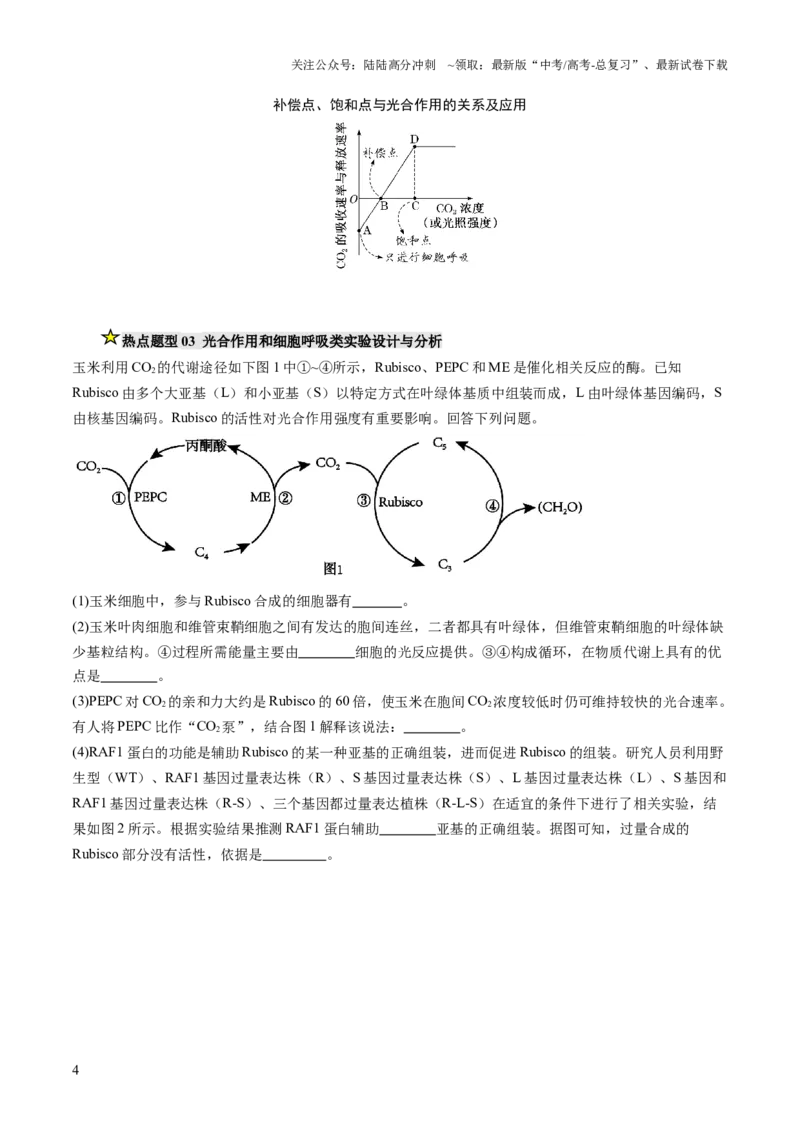 《压轴题01光合作用和细胞呼吸（原卷版）_06-生物-高考总复习_三轮冲刺_压轴题2025年高考生物压轴题攻略》第4页预览