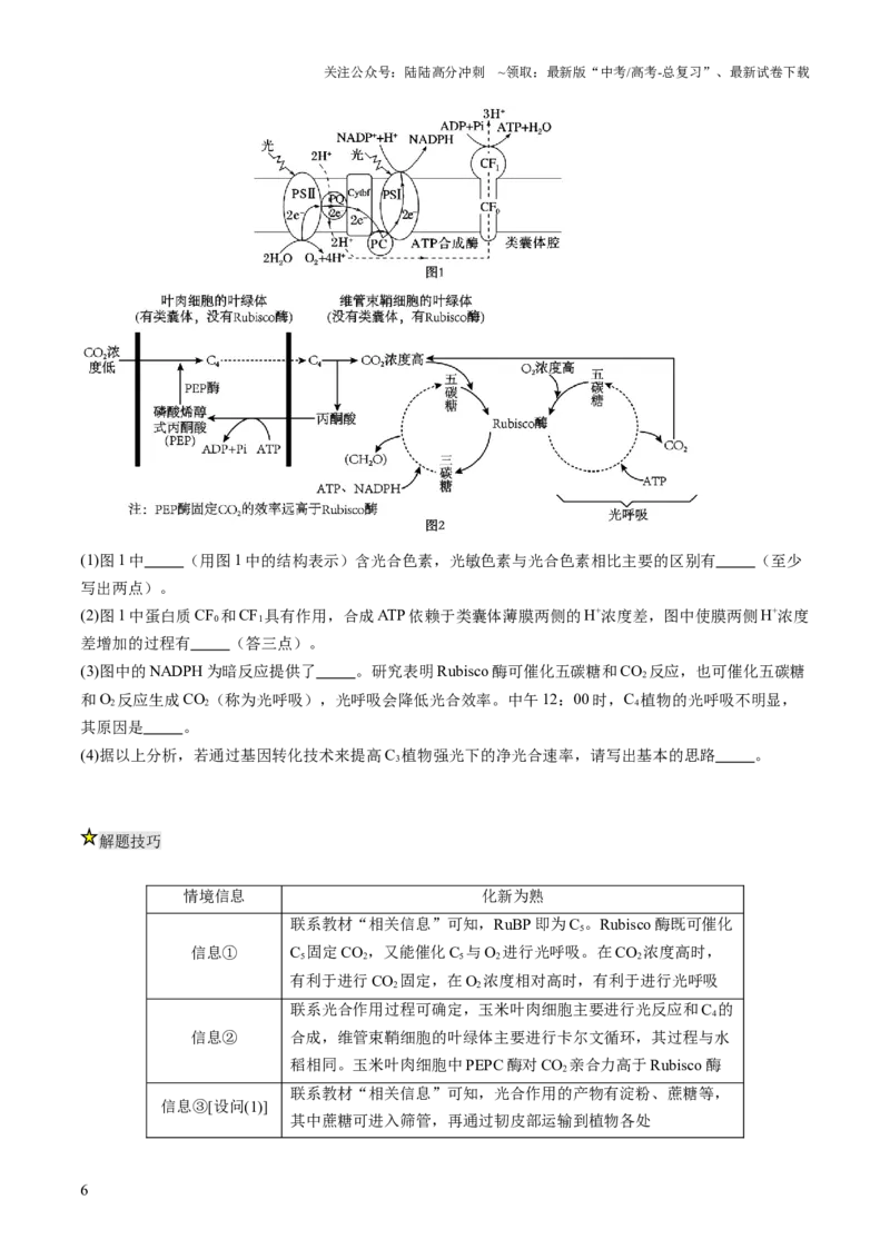 《压轴题01光合作用和细胞呼吸（原卷版）_06-生物-高考总复习_三轮冲刺_压轴题2025年高考生物压轴题攻略》第6页预览