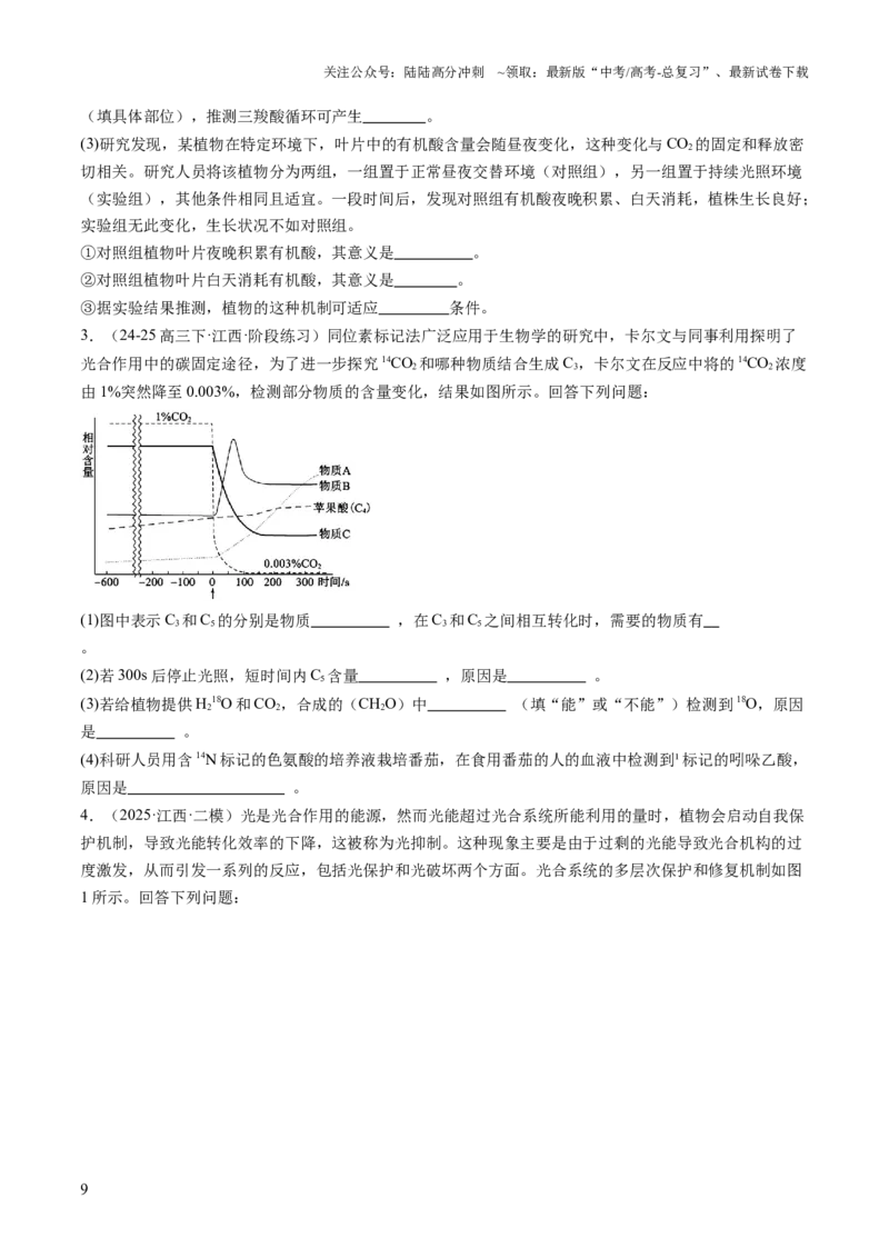 《压轴题01光合作用和细胞呼吸（原卷版）_06-生物-高考总复习_三轮冲刺_压轴题2025年高考生物压轴题攻略》第9页预览