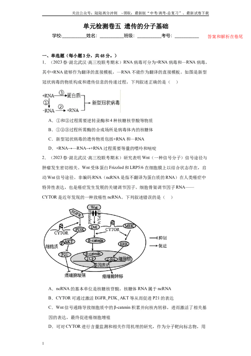 《单元检测卷五遗传的分子基础（解析版）_06-生物-高考总复习_一轮复习_2024年_2024年高考生物一轮复习精讲精练_资料》第1页预览